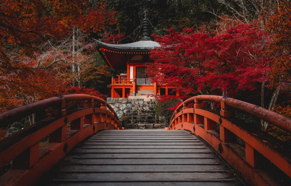 Autumn, trees, bridge, Park, thickets, shore, foliage, Japan