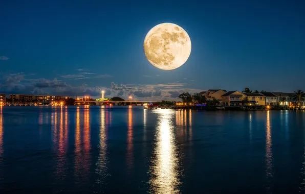 Picture the sky, clouds, landscape, night, bridge, city, the city, river