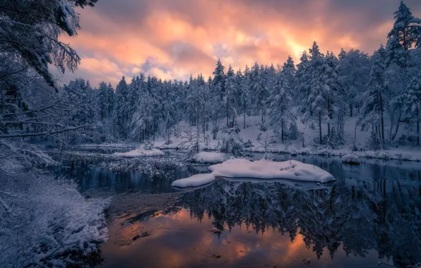 Picture winter, forest, snow, trees, sunset, reflection, river, Norway