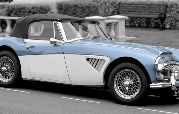 Picture roadster, Sports Car, Austin-Healey 3000