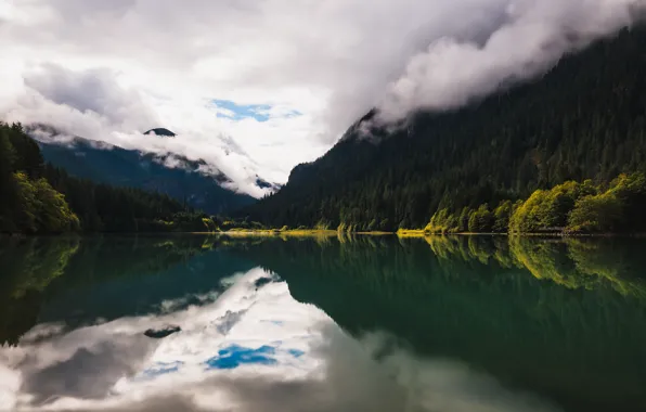 Forest, summer, the sky, clouds, mountains, fog, lake, reflection