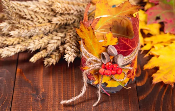 Autumn, leaves, berries, still life