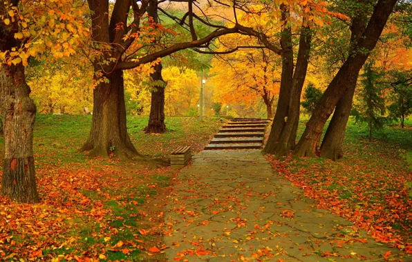 Autumn, Park, Fall, Foliage, Track, Park, Autumn, Colors