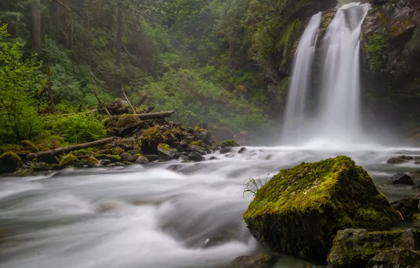 Forest, river, stones, waterfall, moss, Washington, Washington State, North Cascades National Park