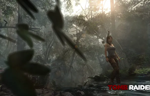 Picture jungle, tomb raider, Lara Croft