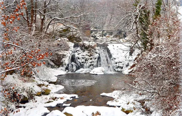 Picture Winter, Waterfall, Snow, Winter, Snow, Waterfall