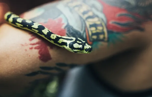 Hand, snake, scales, tattoo