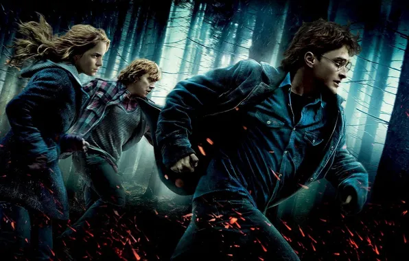 Picture Forest, Hermione, Ash, Ron, Harry Potter and the deathly Hallows part 1