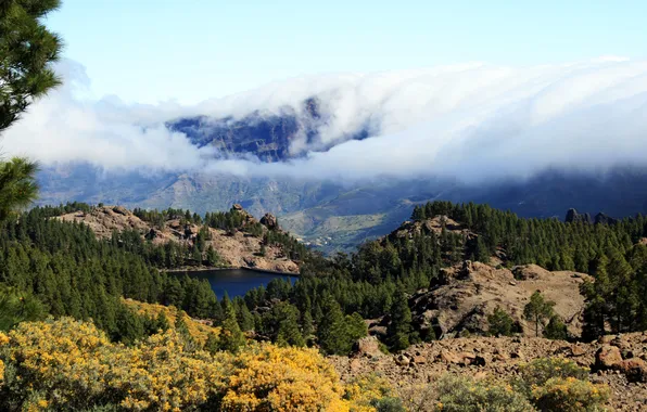 Forest, clouds, mountains, nature, lake