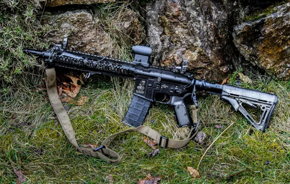 Picture rifle, combat, automatic, Bushmaster