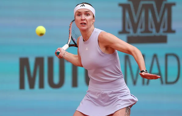 Tennis, WTA, Ukrainian, Elina Svitolina, Svitolina, Monfils, Elina Monfils