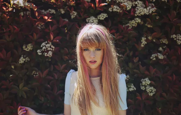 Look, hair, color, portrait, It