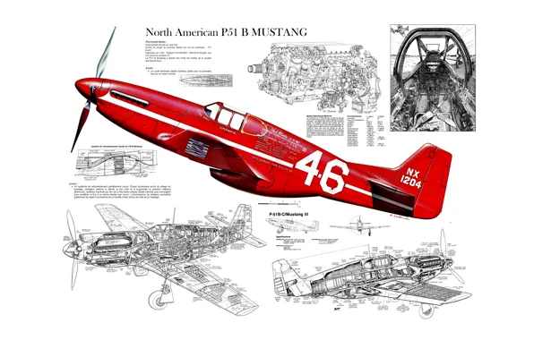 Design, Mustang, scheme, fighter, North American, P-51B
