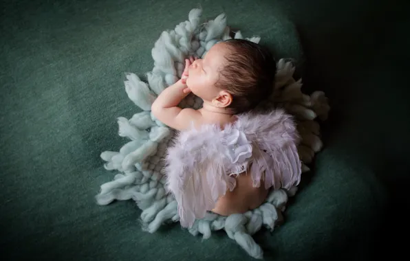 Flower, pose, child, sleep, wings, angel, baby, costume