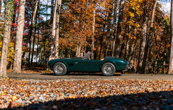 Picture Shelby, Cobra, side view, Shelby Cobra 289