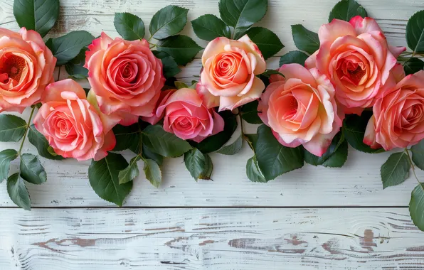 Flowers, holiday, Board, roses, bouquet, pink, March 8, Valentine's Day