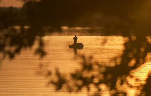 Picture the sky, water, the sun, trees, sunset, red, nature, background