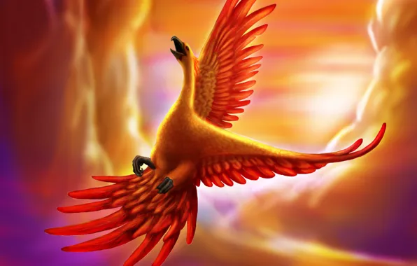 Picture flight, bird, being, art, Phoenix, in the sky, goldenphoenix100