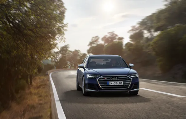Picture trees, blue, Audi, sedan, roadside, Audi A8, Audi S8, 2020