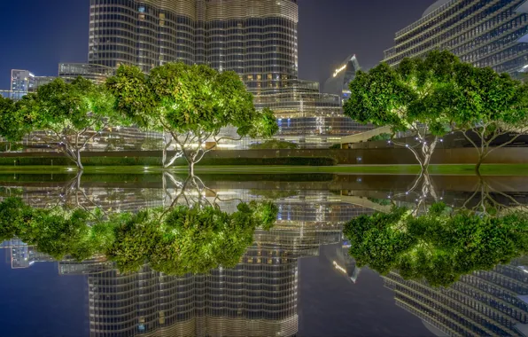 Trees, reflection, home, pool, Dubai, UAE