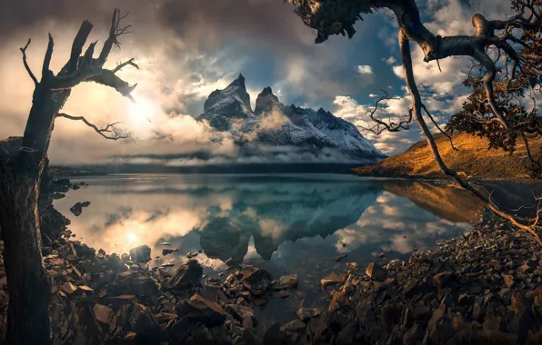 Picture trees, mountains, stones