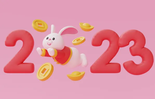 Flight, gold, money, rabbit, Christmas, figures, New year, coins