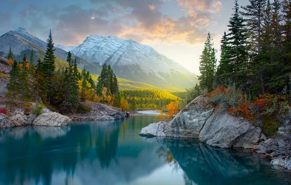 Picture landscape, nature, lake, rocks, fir trees