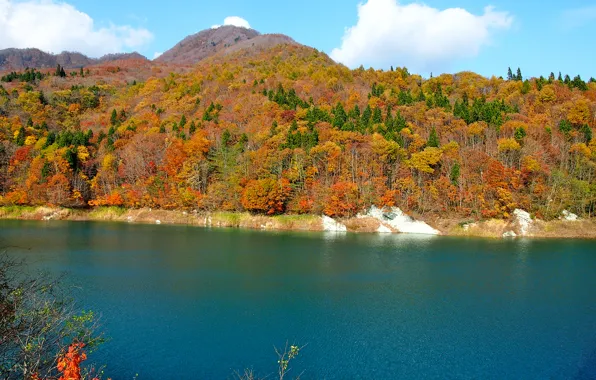 Picture autumn, forest, the sky, trees, river, hills