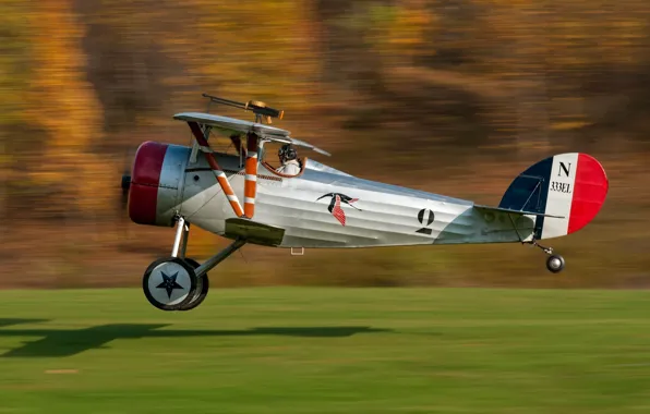 Picture speed, pilot, the plane, single, Nieuport, Nieuport