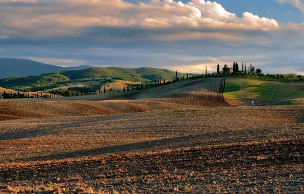 Field, summer, clouds, trees, mountains, nature, house, hills