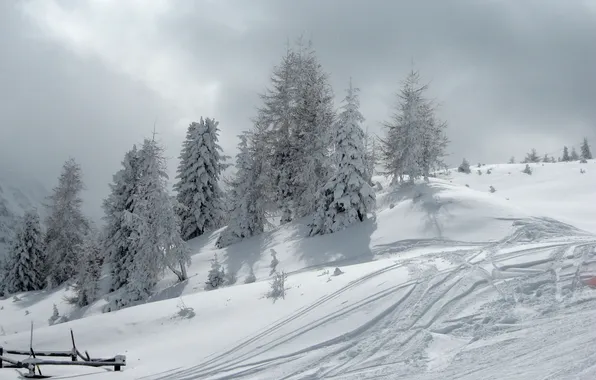 Winter, snow, landscape, nature