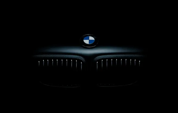 Icon, BMW, the hood, BMW, front, E46, label, grille