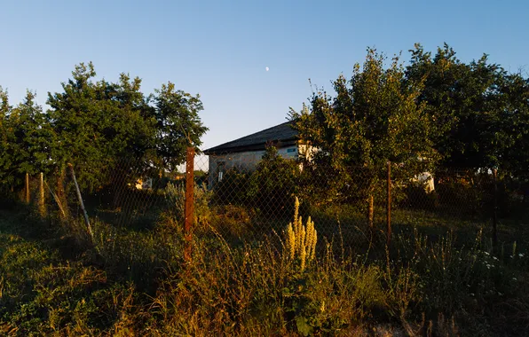Summer, the sky, trees, house, the moon, the fence, the building, the evening
