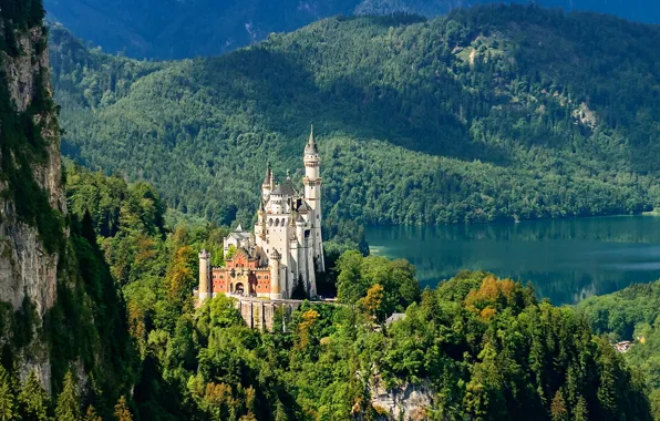 Picture forest, mountains, castle, Germany