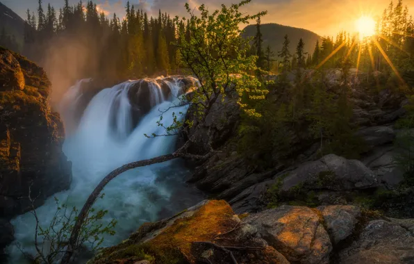 Forest, trees, sunset, stones, waterfall, Norway