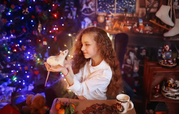 Room, holiday, new year, girl, tree, child, rat, symbol of the year