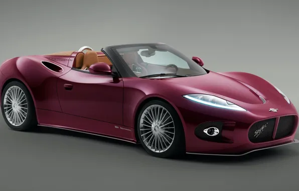 Picture grey background, Spyker, Venator, gray background, Spyker B6 Venator, sports convertible, sports convertible