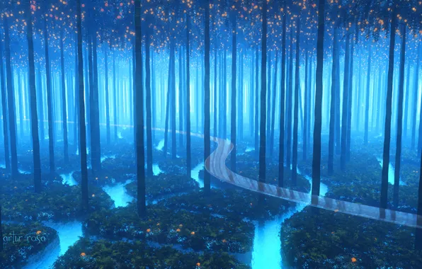 Picture road, forest, water, trees, the fractured forest