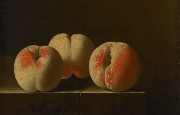 Picture picture, fruit, still life, Adrian Coort, Three Peaches on a Stone Pedestal