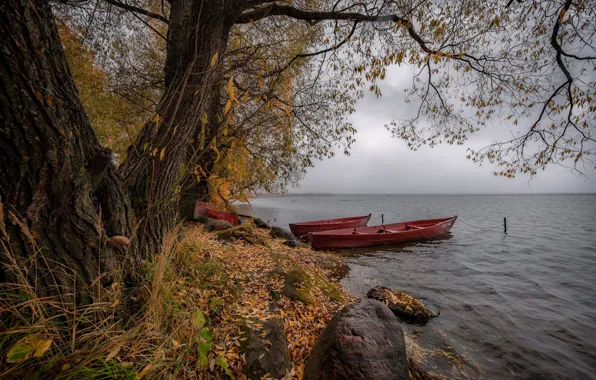 Autumn, trees, landscape, nature, lake, stones, foliage, boats