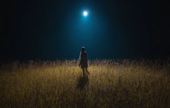 Picture wallpaper, girl, moon, field, girls, nature, night, mood