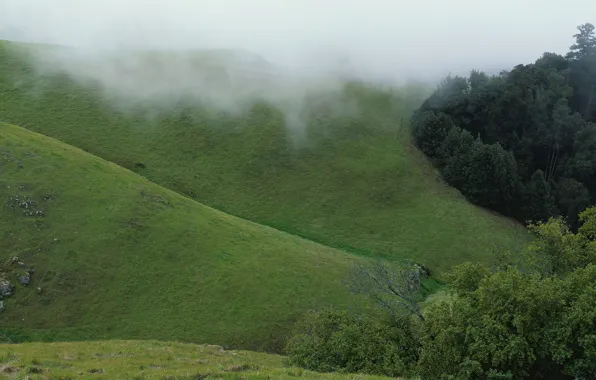 Green, fog, hills