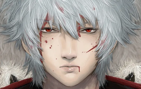 Picture blood, guy, red eyes, white hair, Gintama, Sakata Gintoki