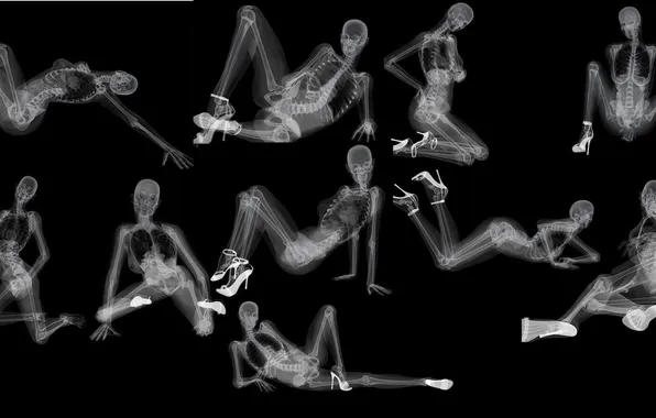 Picture skeleton, shoes, black background
