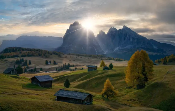Picture field, autumn, forest, the sun, light, trees, mountains, dawn