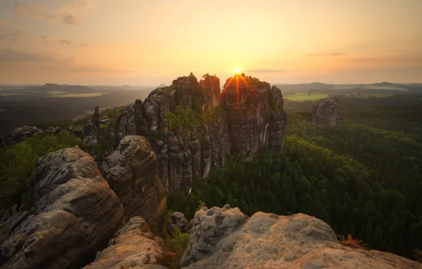 Forest, summer, the sky, the sun, rays, light, landscape, sunset