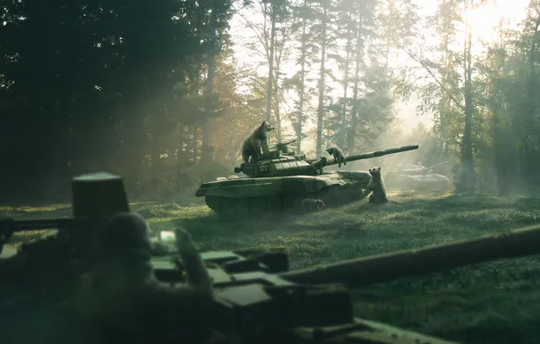 Nature, weapons, figure, morning, Forest, bears, art, tank