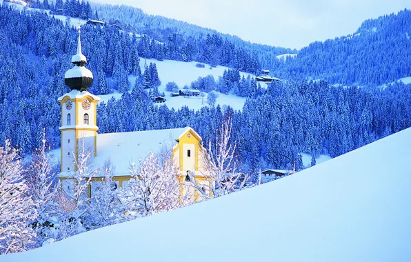 Winter, forest, the sky, snow, trees, mountains, watch, tower