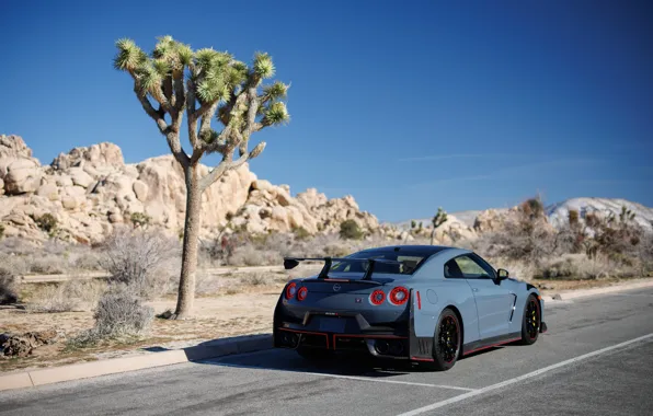 Nissan, GT-R, R35, rear view, Nissan GT-R Nismo, 2023