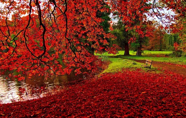 Picture autumn, leaves, bench, Park